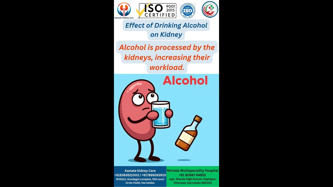 Effect of Drinking Alcohol on Kidney