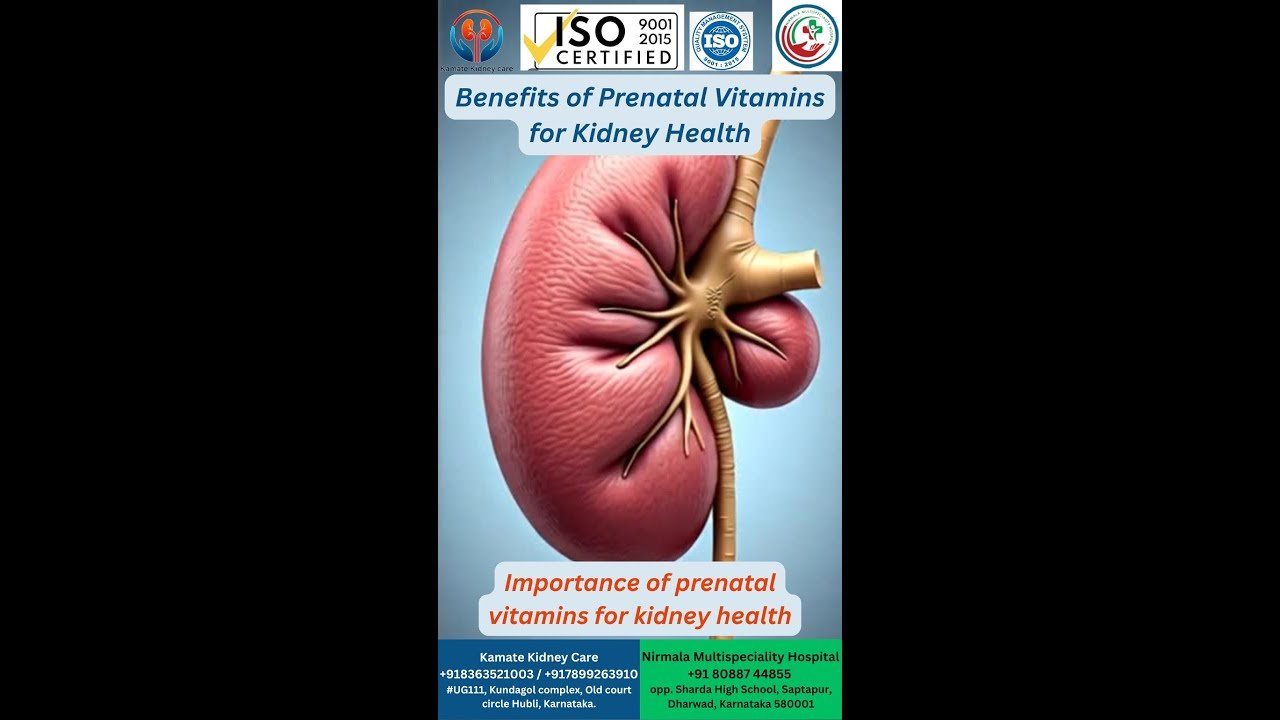 Benefits of Prenatal Vitamins for Kidney Health. importance of prenatal vitamins for kidney health