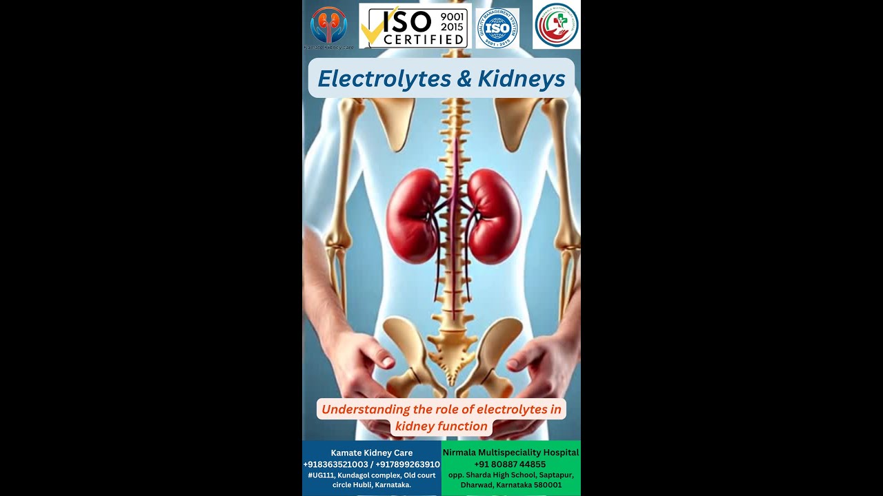 Insights on Electrolytes & Kidneys. Understanding the role of electrolytes in kidney function