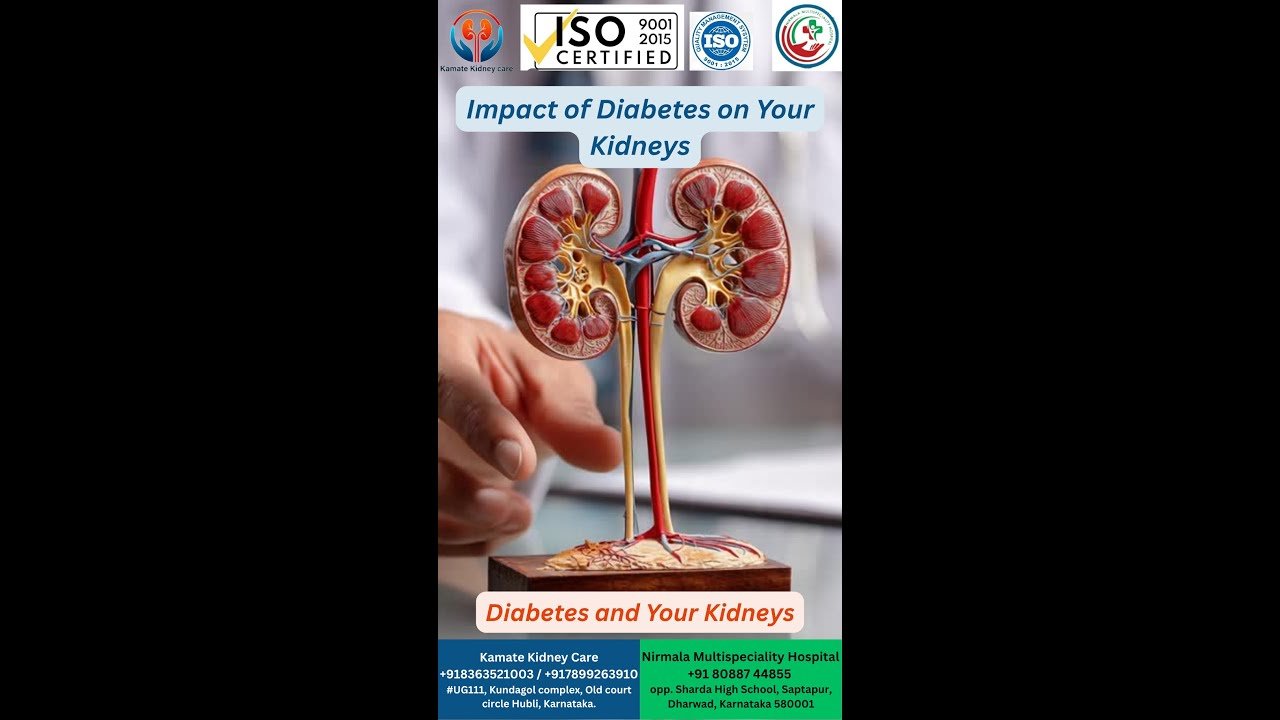 Amazing Impact of Diabetes on Your Kidneys. Impact of Diabetes on your Kidneys
