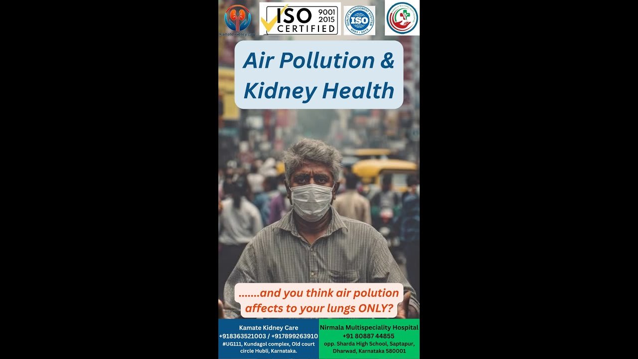 Amazing Insights on Air Pollution & Kidney Health. The impact of air pollution on kidney health