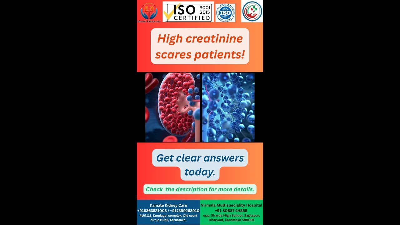 Creatinine Levels Explained